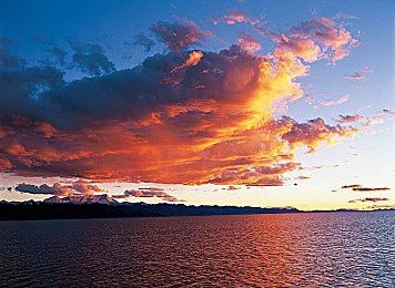 《黎明行者之血》时长30-40小时 目标是达到巫师3质量